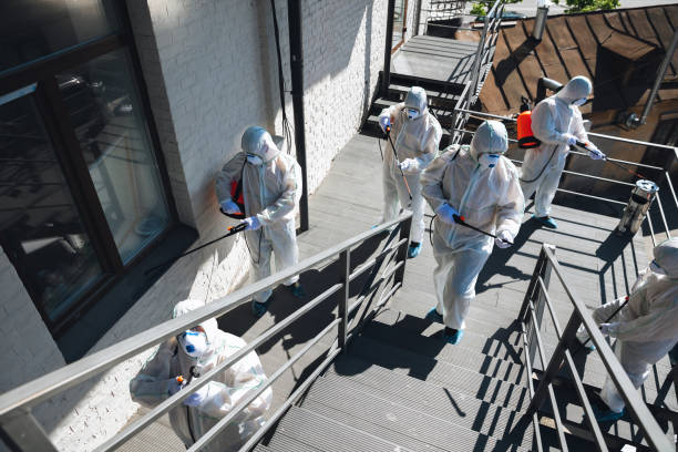Mold Remediation for Vacation Homes in Edina, MO